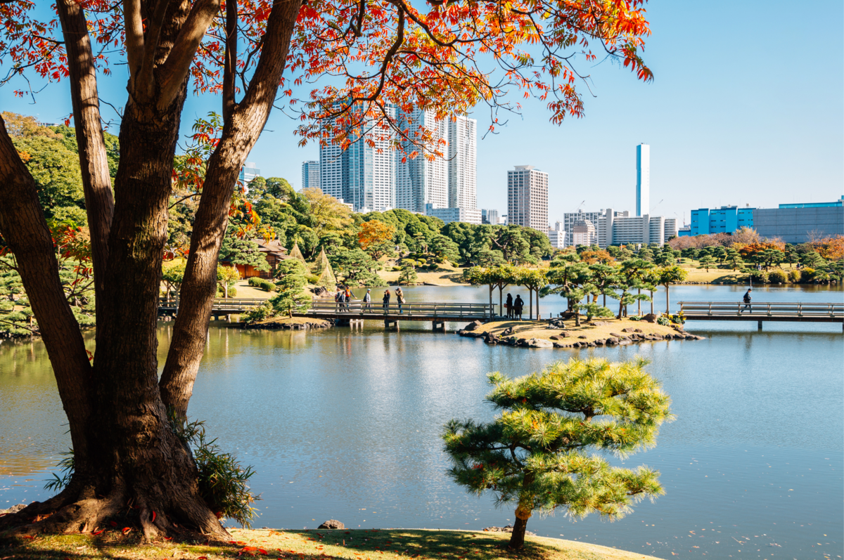 Podróż do Japonii - zobacz kraj, który działa według własnego rytmu