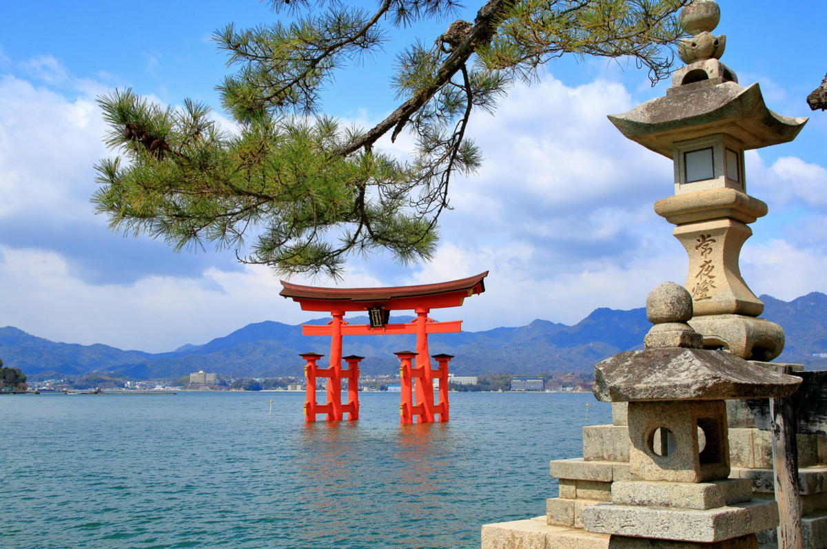 Jak odnaleźć się w Japonii bez znajomości języka?