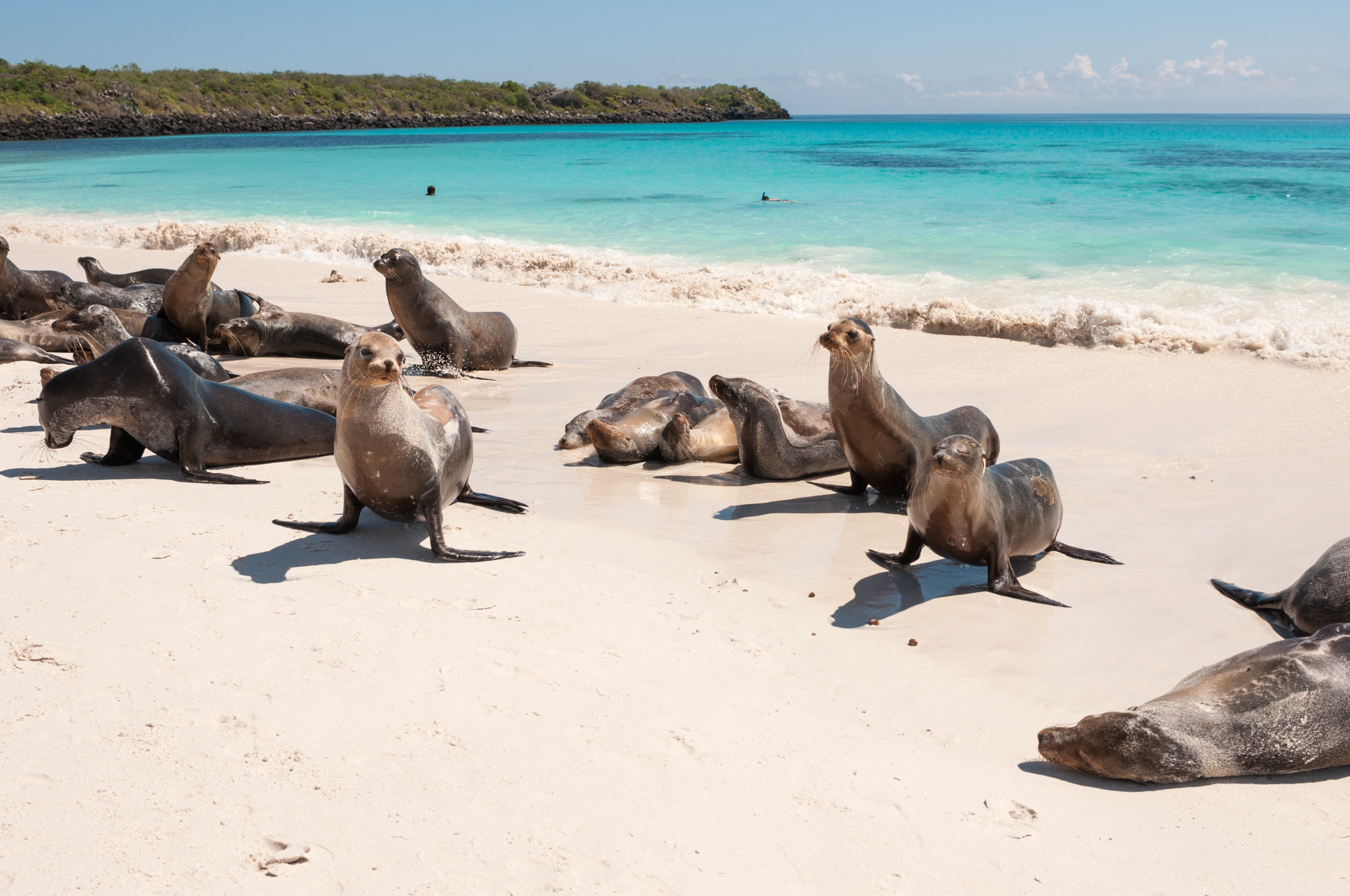 Plaże Galapagos