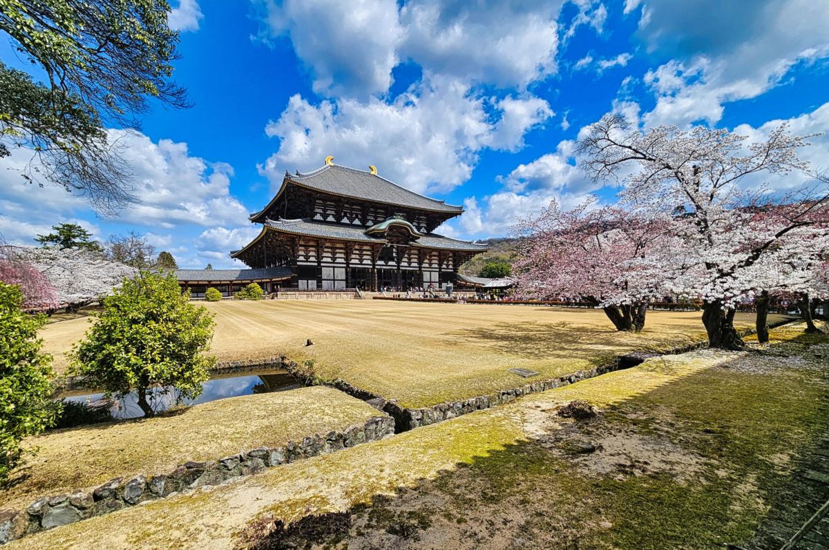 Podróż do Japonii z Tripse - zobacz więcej niż kraj z przewodnika