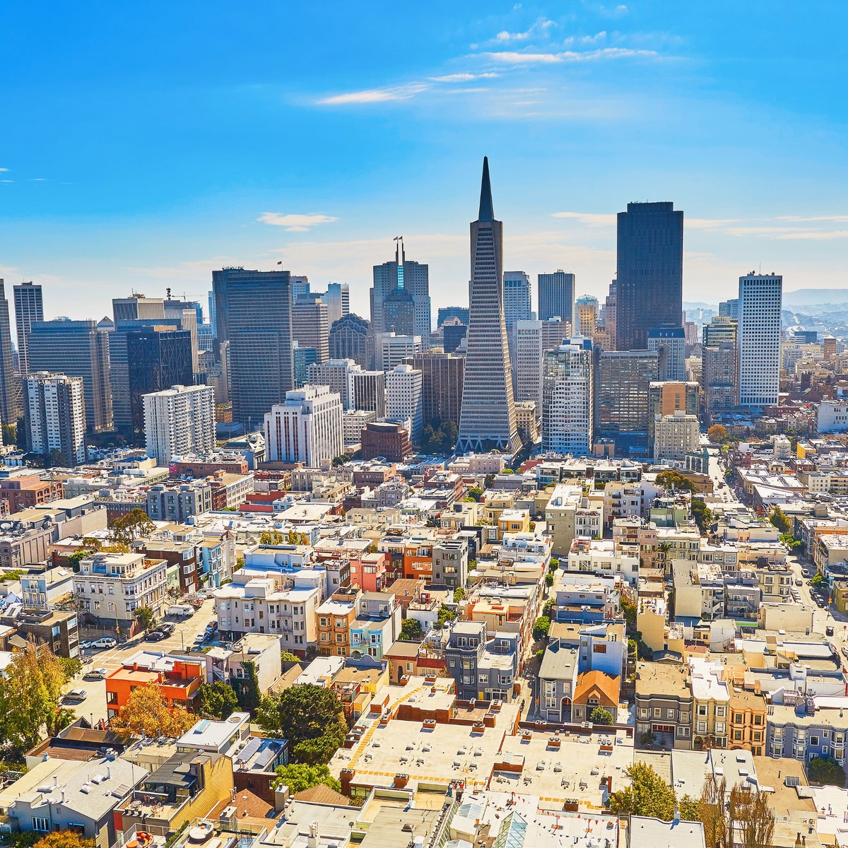 Panorama miasta San Francisco z charakterystycznym wieżowcem Transamerica Pyramid na tle nieba